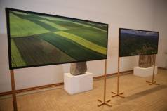 Mini IMG 0177